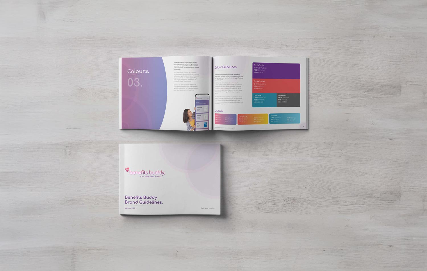 Benefits Buddy brand guideline document open on a table